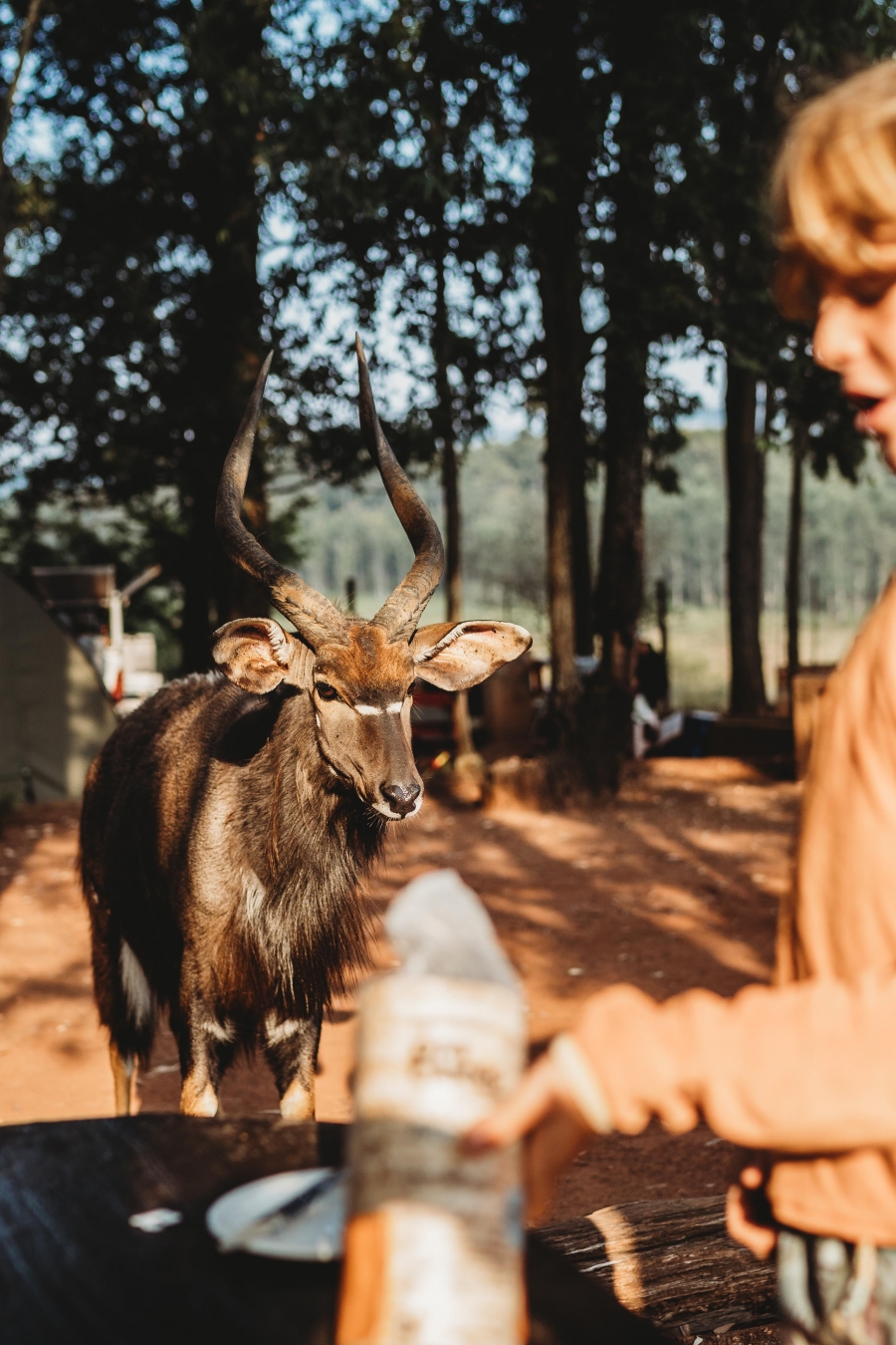 FIH Fotografie » Zuid Afrika